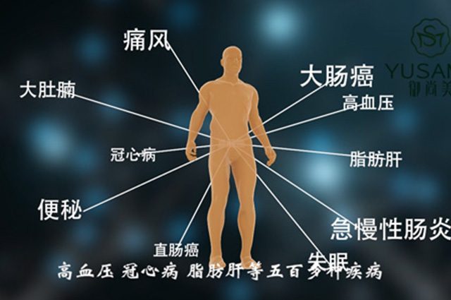 肠排新概念宣传片